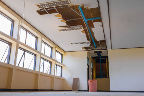 Best Mold removal after water damage  in Junction City, CA