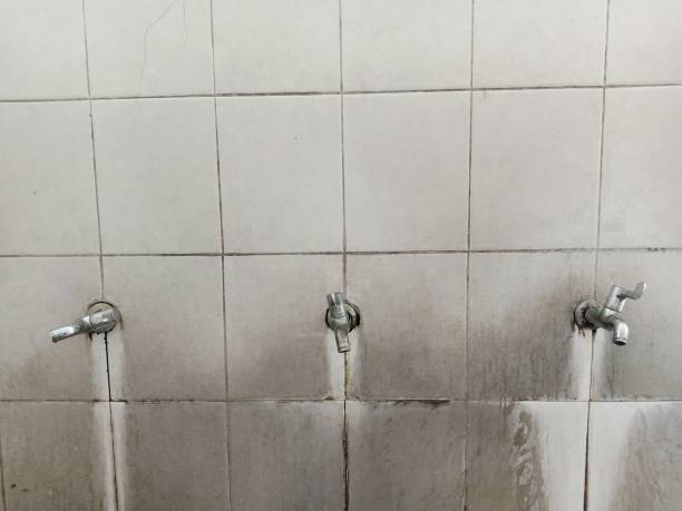 Best Water damage restoration company  in Junction City, CA