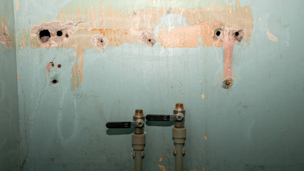 Local water damage restoration in Junction City, CA